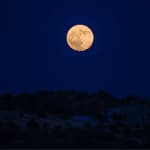 Dieta Lunare